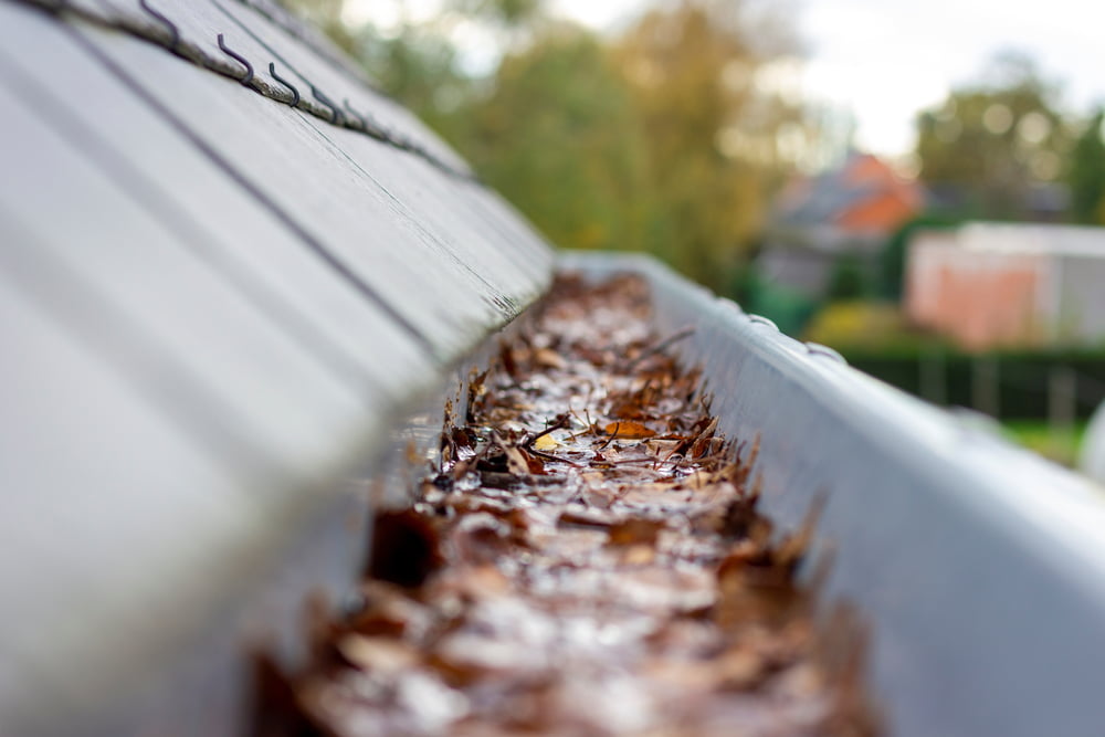 common gutter issues
